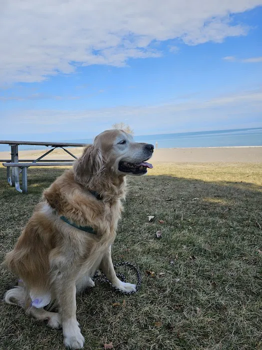 Wiley's Ark Animal Care 4
