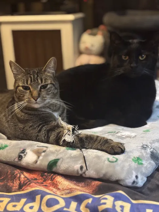 Wiley's Ark Animal Care 7