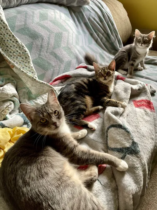Brockport Animal Hospital 7