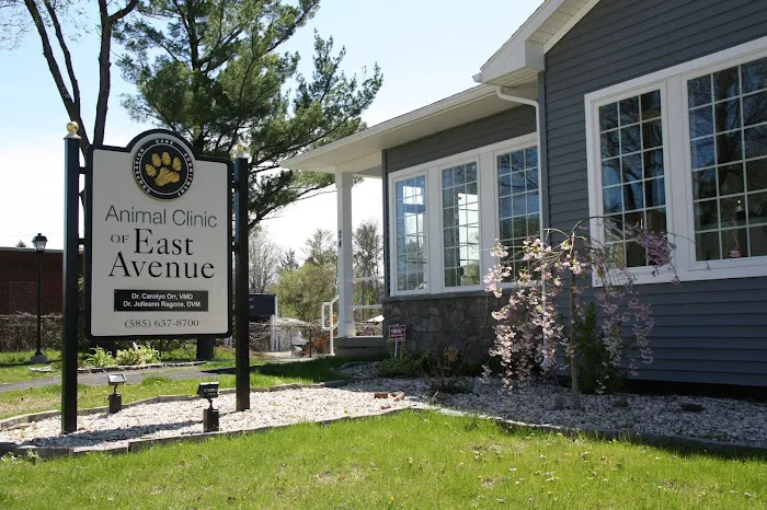 Animal Clinic of East Avenue 10