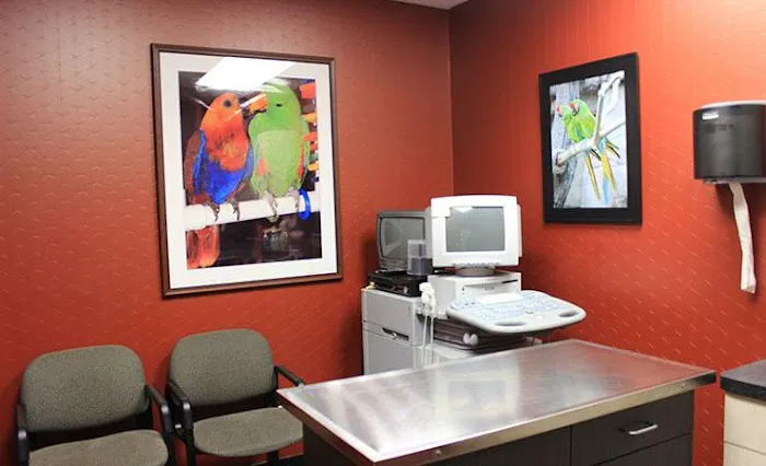 All Creatures Animal Hospital 7
