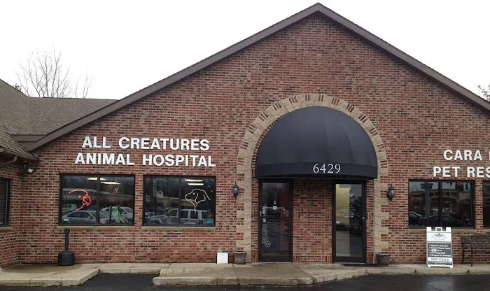 All Creatures Animal Hospital 1