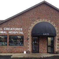 All Creatures Animal Hospital ico