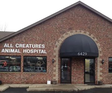 All Creatures Animal Hospital