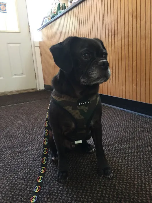 Watkins Glen Veterinary Hospital 4
