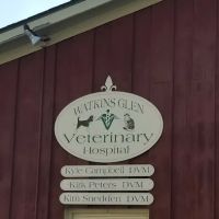 Watkins Glen Veterinary Hospital ico