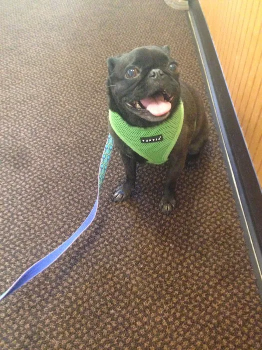 Watkins Glen Veterinary Hospital 9