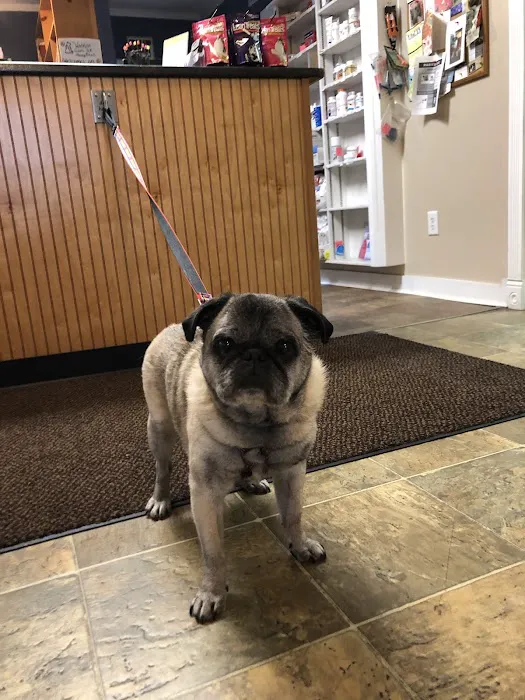 Watkins Glen Veterinary Hospital 5