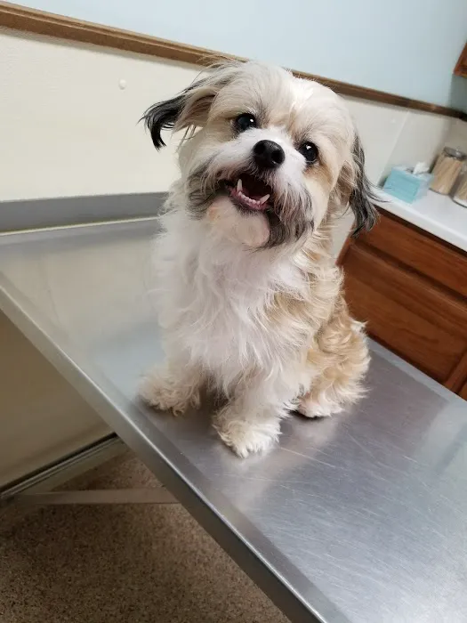 Towne & Country Veterinary Hospital 8