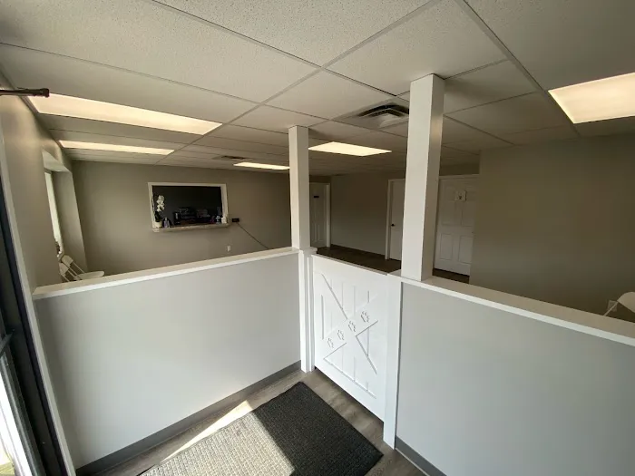 TLC Veterinary Clinic 9