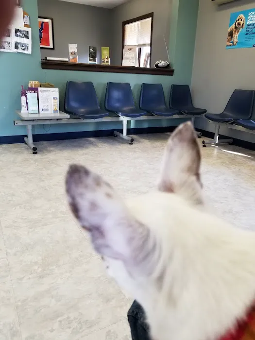 Agape Veterinary Clinic 7