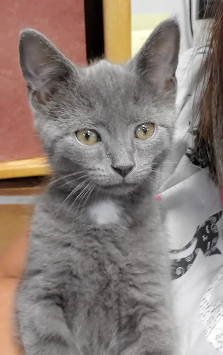 Agape Veterinary Clinic 6