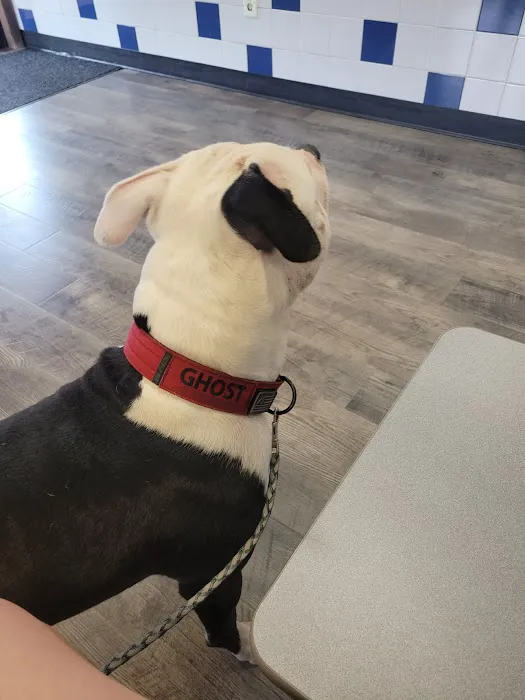 Agape Veterinary Clinic 10