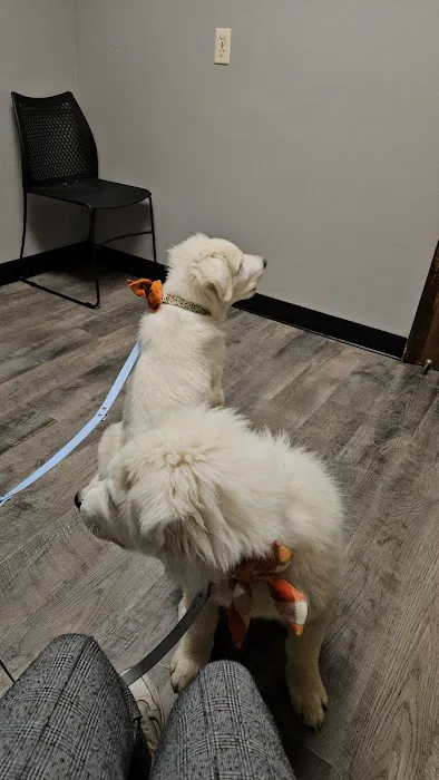 Agape Veterinary Clinic 2