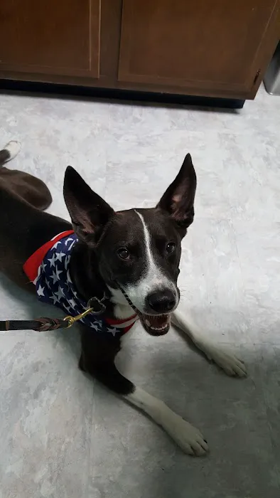 Agape Veterinary Clinic 5