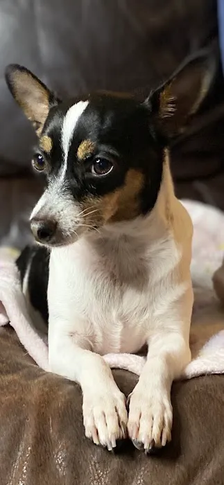 Banfield Pet Hospital 5