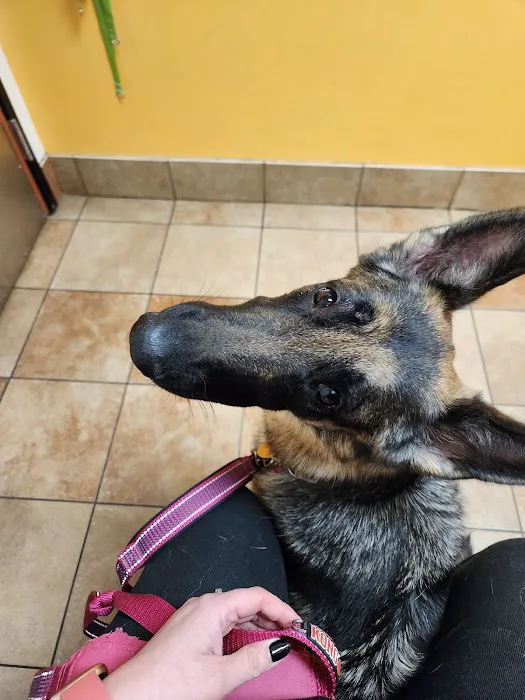 Banfield Pet Hospital 3