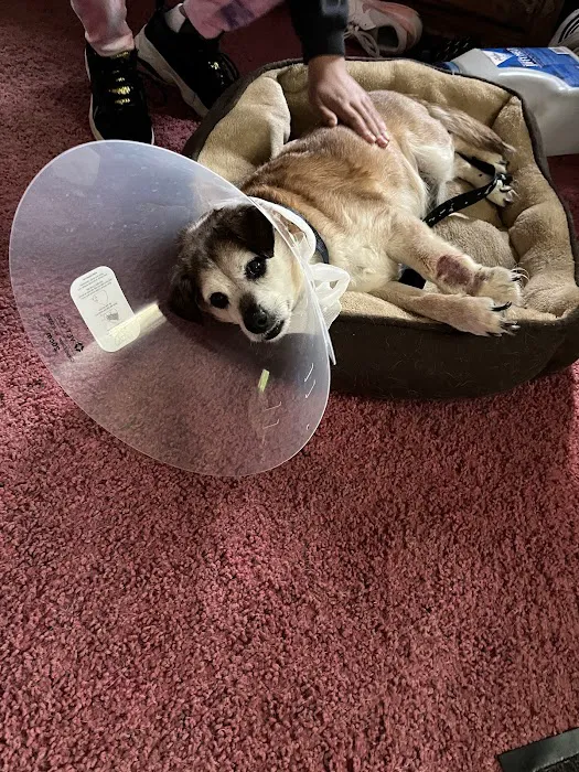 Green Acres Veterinary Center 5