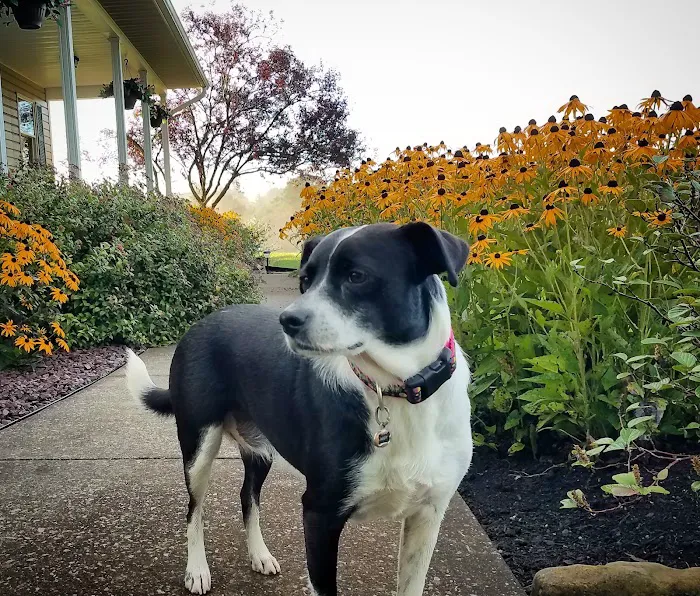 Green Acres Veterinary Center 9