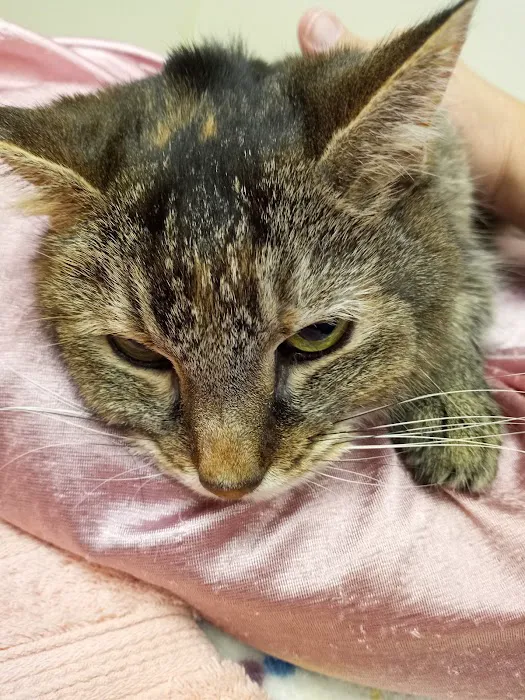 Green Acres Veterinary Center 10
