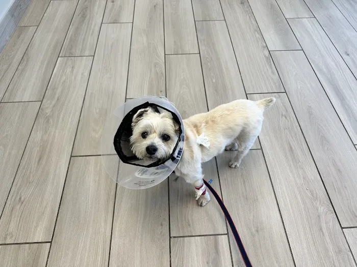 Green Acres Veterinary Center 4