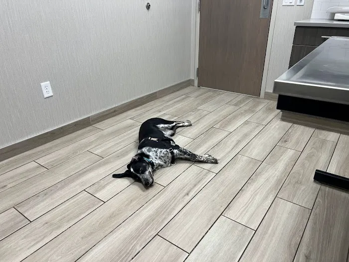 Green Acres Veterinary Center 3