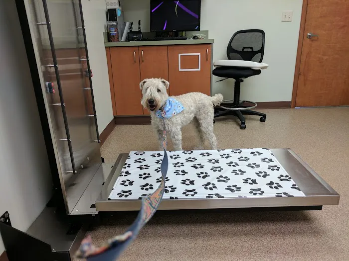 Pine Woods Animal Hospital 10