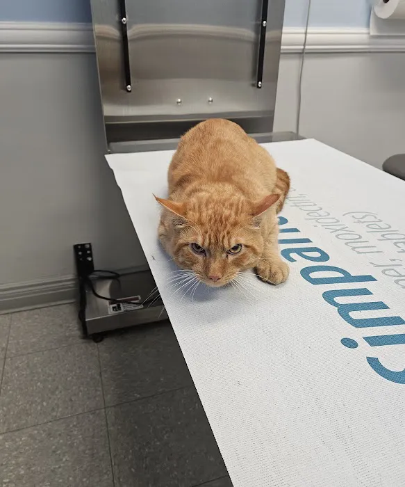 Pine Woods Animal Hospital 3