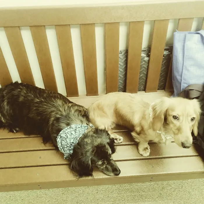 Pine Woods Animal Hospital 5