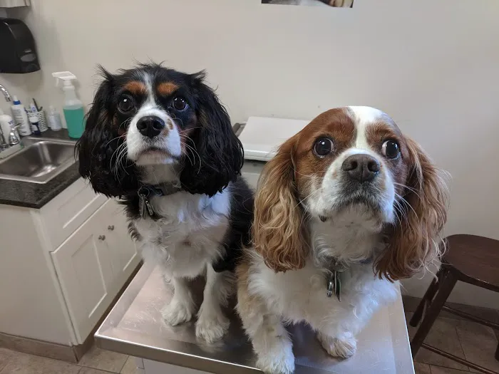 Millersport Small Animal Clinic 4
