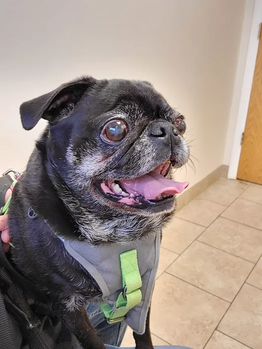 Millersport Small Animal Clinic 5