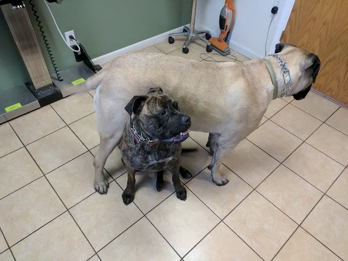 Millersport Small Animal Clinic 2