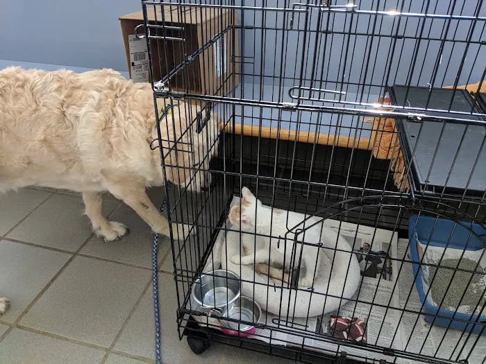 Transit Valley Animal Hospital 4