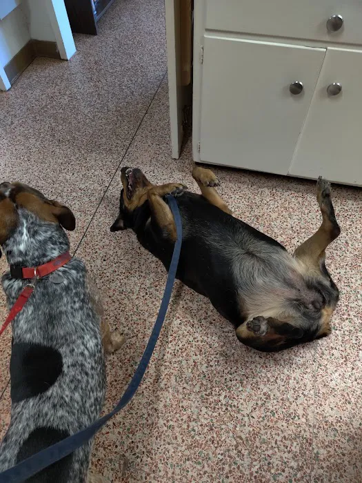 Labahn Veterinary Hospital 2
