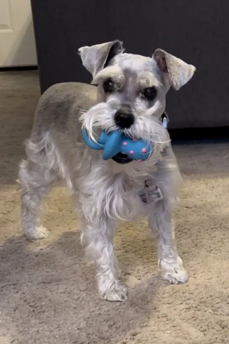 Labahn Veterinary Hospital: Adkins Cheryl DVM 2