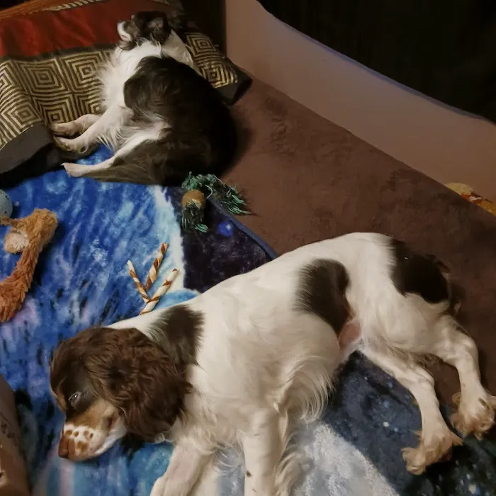 Labahn Veterinary Hospital: Adkins Cheryl DVM 10