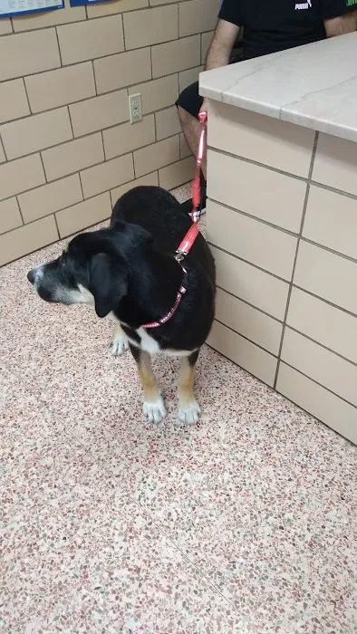 Labahn Veterinary Hospital: Adkins Cheryl DVM 8