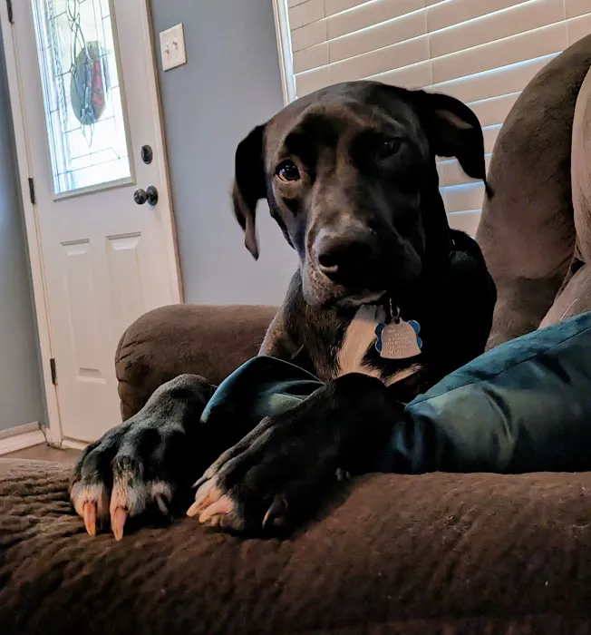 Labahn Veterinary Hospital: Adkins Cheryl DVM 1