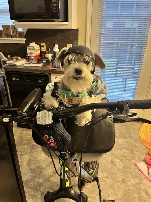 Labahn Veterinary Hospital: Adkins Cheryl DVM 4