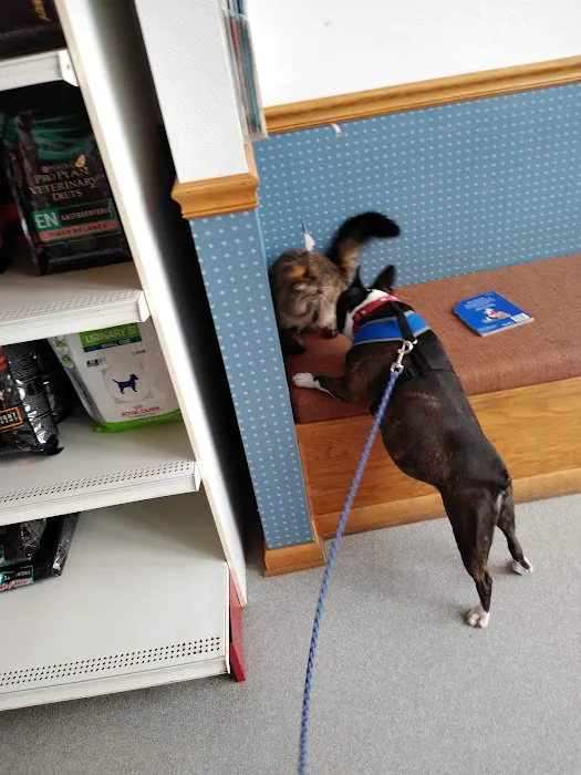 Pointer Trail Animal Clinic 4