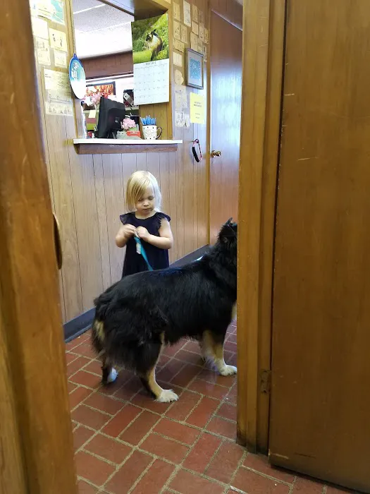 Remer Veterinary Hospital 6
