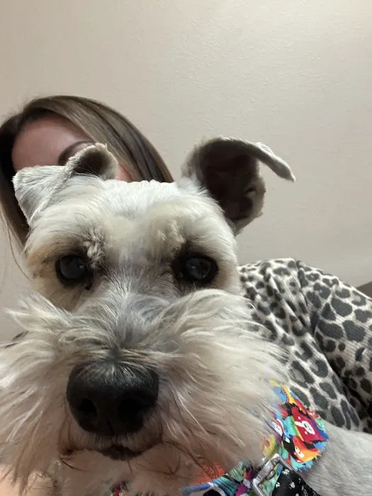 Arkansas Veterinary Clinic 3