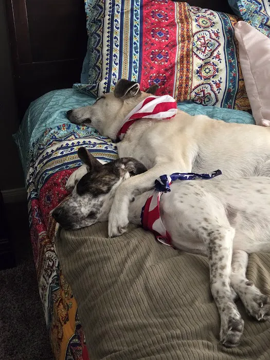 Arkansas Veterinary Clinic 4