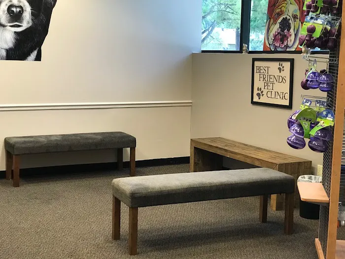 Best Friends Pet Clinic 6