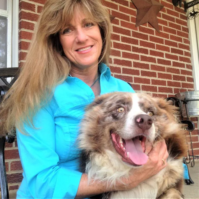 Best Friends Pet Clinic 2