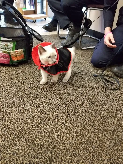 Best Friends Pet Clinic 9