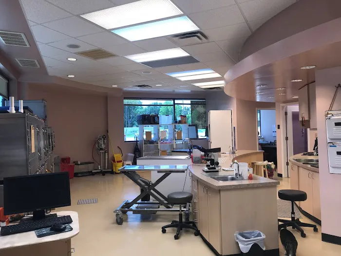Best Friends Pet Clinic 5