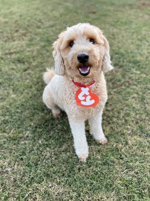 Best Friends Pet Clinic 8