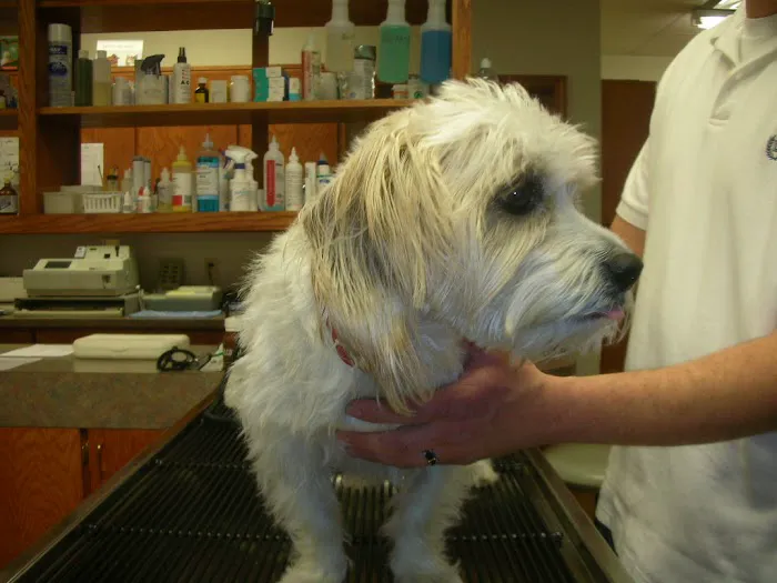 Fianna Hills Pet Hospital 8