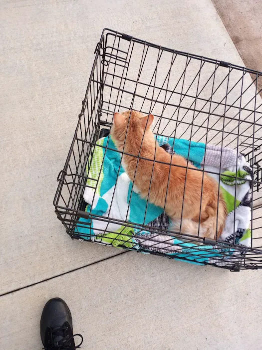 Kitties & Kanines Pet Resource Center, Inc. 9